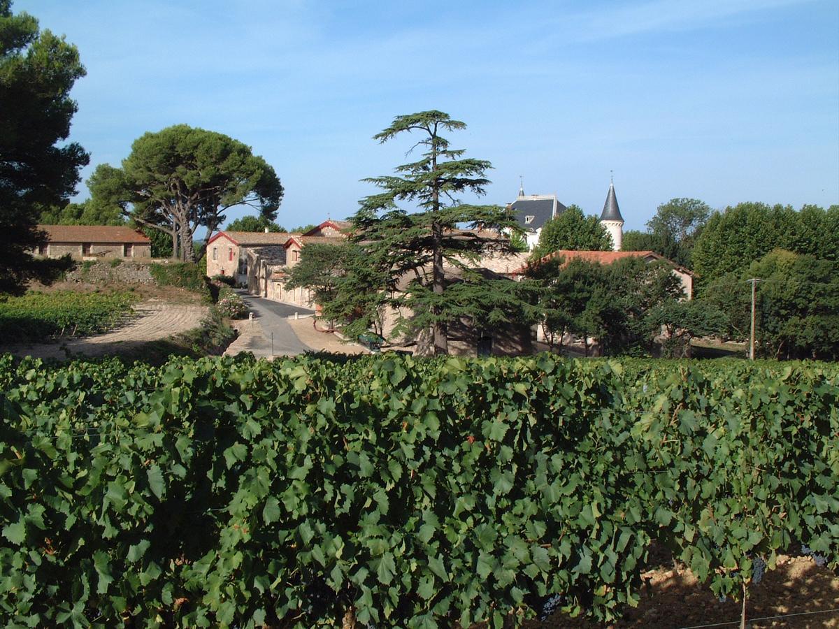 Château Saint Martin de Graves Aumes Exterior foto